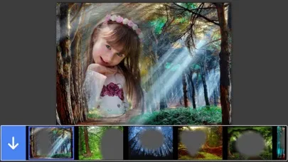 Forest Photo Frame - Picture Frames + Photo Effects应用截图