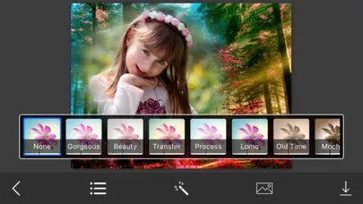 Forest Photo Frame - Picture Frames + Photo Effects应用截图