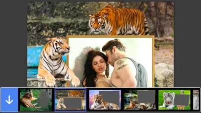 Tiger Photo Frame - Great and Fantastic Frames for your photo應用截圖