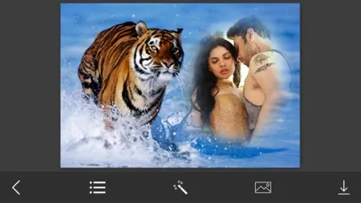 Tiger Photo Frame - Great and Fantastic Frames for your photo應用截圖