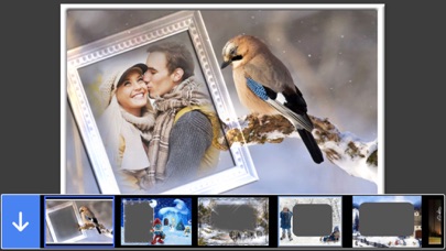 Winter Photo Frame - Free Pic and Photo Filter 스크린샷