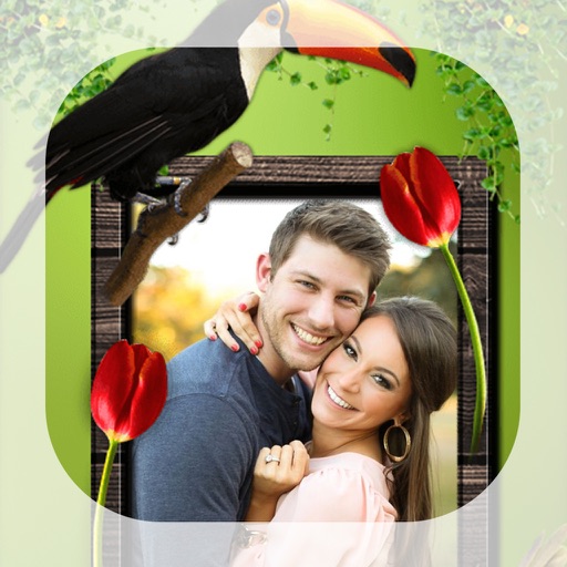 Bird Photo Frames - Make awesome photo using beautiful photo frames