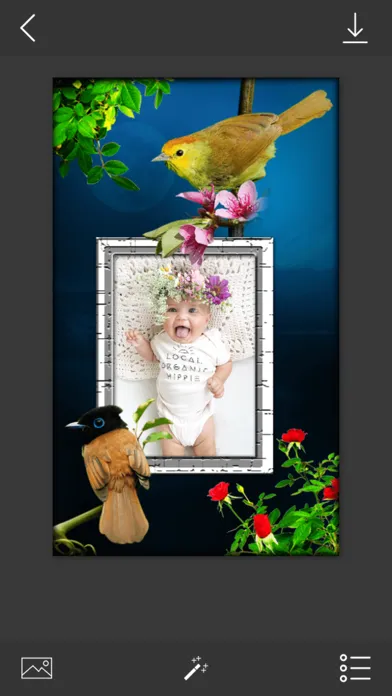 صور Bird Photo Frames - Make awesome photo using beautiful photo frames