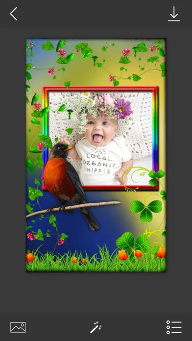 صور Bird Photo Frames - Make awesome photo using beautiful photo frames