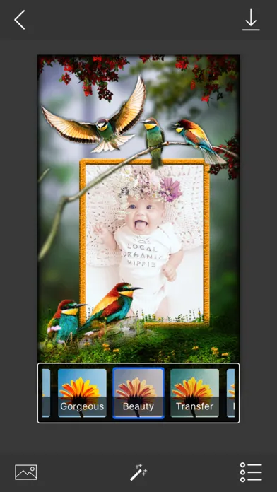صور Bird Photo Frames - Make awesome photo using beautiful photo frames