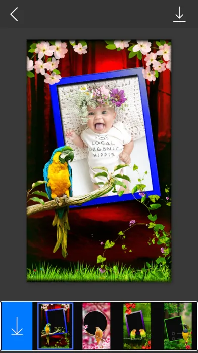 صور Bird Photo Frames - Make awesome photo using beautiful photo frames