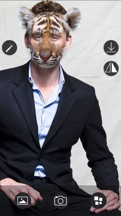 Скриншоты Animal Face - Selfie Editor & Stickers for Pictures