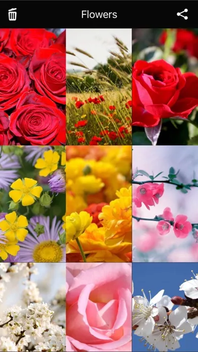 Flowers HD Wallpaper - Great Collection Screenshots