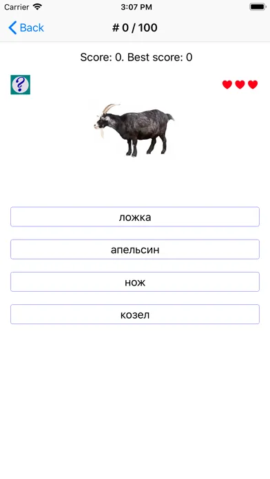 Russian Words (nouns) স্ক্রিনশট