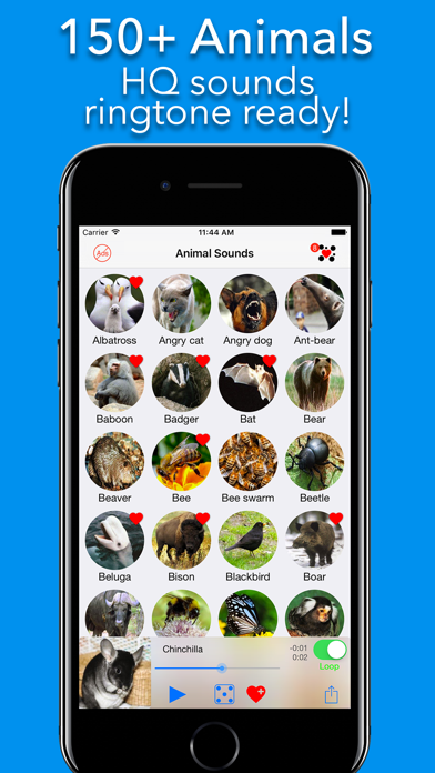150+ Sounds of Animals Ekran Görüntüleri
