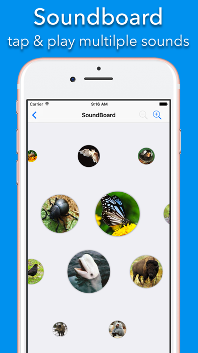 150+ Sounds of Animals Ekran Görüntüleri