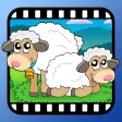 Video Touch - Animals