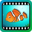 Video Touch - Sea Life Video Touch - Sea Life