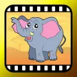 Video Touch - Wild Animals Video Touch - Wild Animals