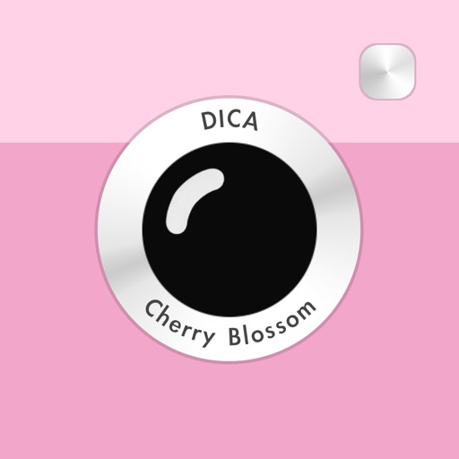 DICA - Cherry Blossom DICA - Cherry Blossom