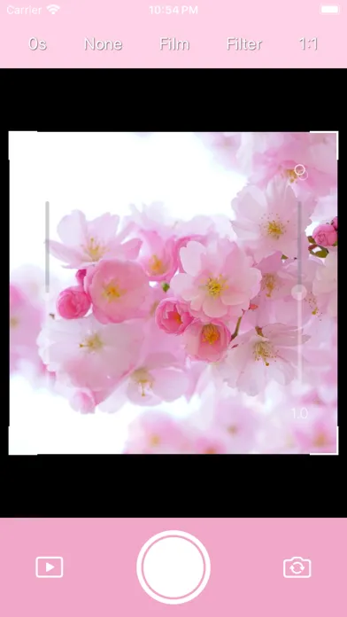 DICA - Cherry Blossom سکرین شاٹس