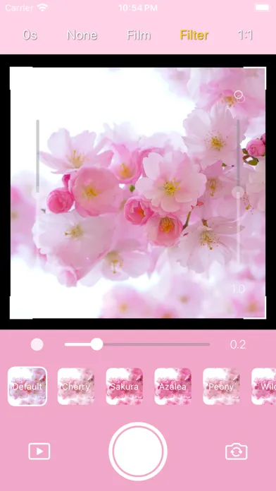DICA - Cherry Blossom سکرین شاٹس