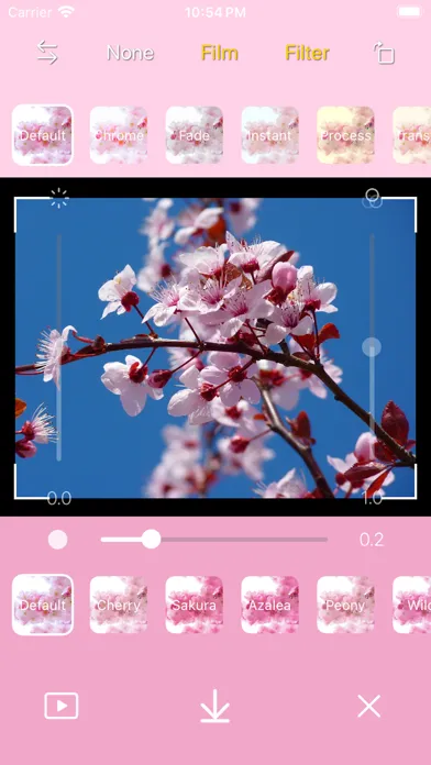 DICA - Cherry Blossom سکرین شاٹس