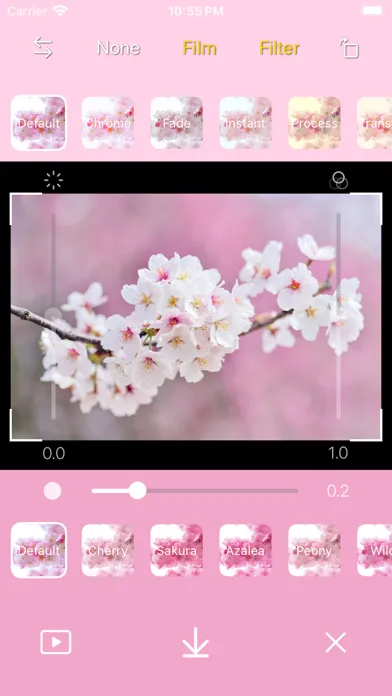DICA - Cherry Blossom سکرین شاٹس