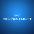 Airline Flight