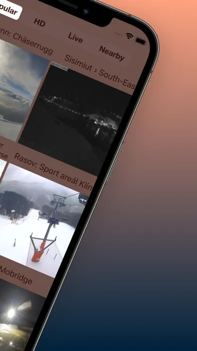 Live Webcam Screenshots