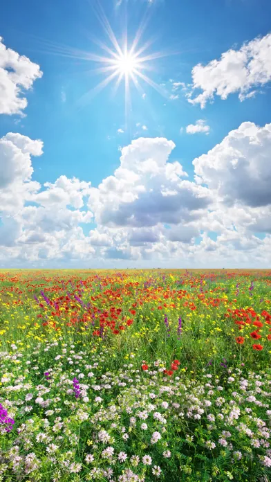 Capturas de pantalla de Sound Touch - Seasons