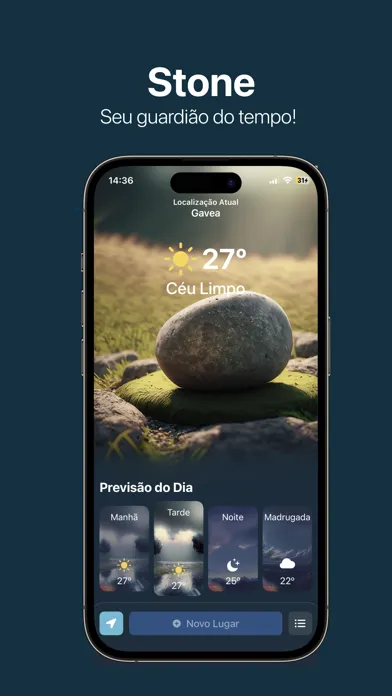Ảnh chụp màn hình của StoneForecast