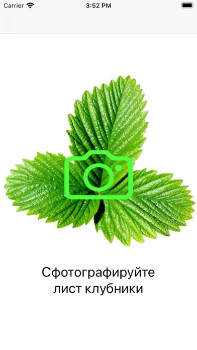 StrawberryX应用截图