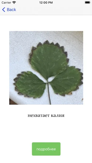 StrawberryX应用截图