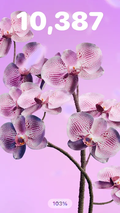 Pedometer Walk Flower 스크린샷