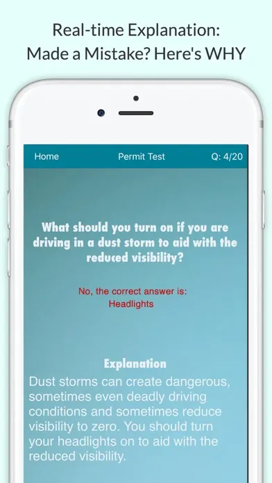 Screenshot di Tennessee Driving Test