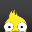 Pedro the Bird Pedro the Bird