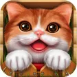 English Baby With Photos (Learning & Practice)