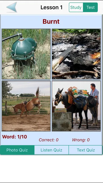 English Grammar With Photos (Learning & Practice)应用截图