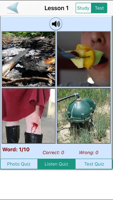 English Grammar With Photos (Learning & Practice)应用截图