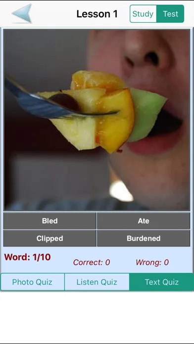 English Grammar With Photos (Learning & Practice)应用截图