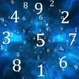 Numerology of life Numerology of life