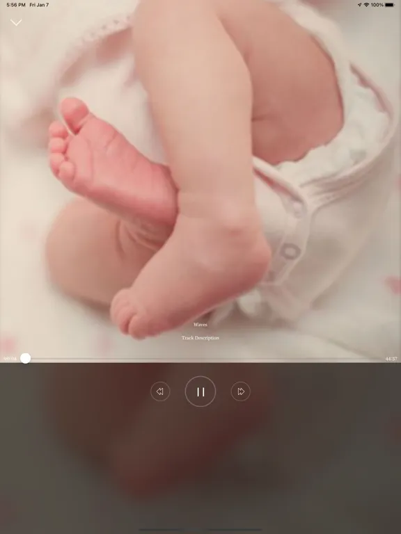 تصاویر The Blissful Baby Expert App iPad 