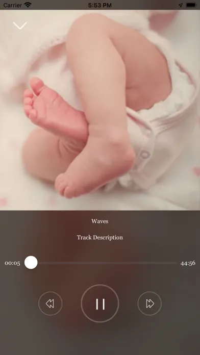 تصاویر The Blissful Baby Expert App