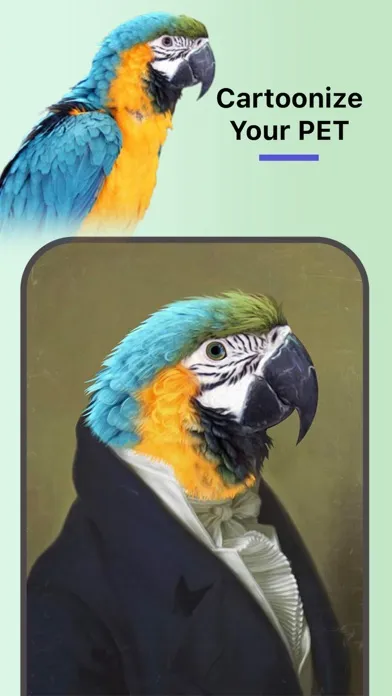 Pet Digital Art - Renaissance Screenshots