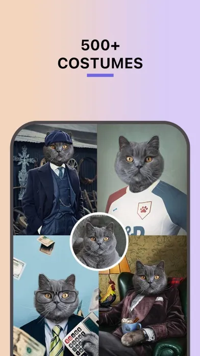 Pet Digital Art - Renaissance Screenshots