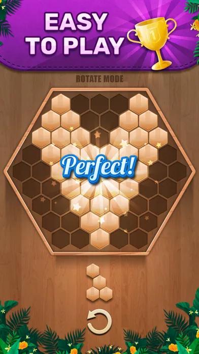 Wooden 100 Block Puzzle Game应用截图