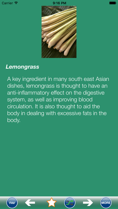 Diet Foods for Weight Loss Screenshots