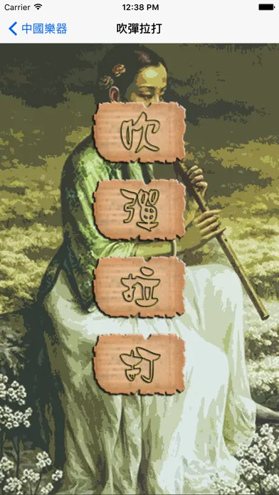 Capturas de pantalla de 中國樂器