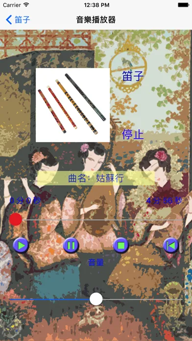 Capturas de pantalla de 中國樂器