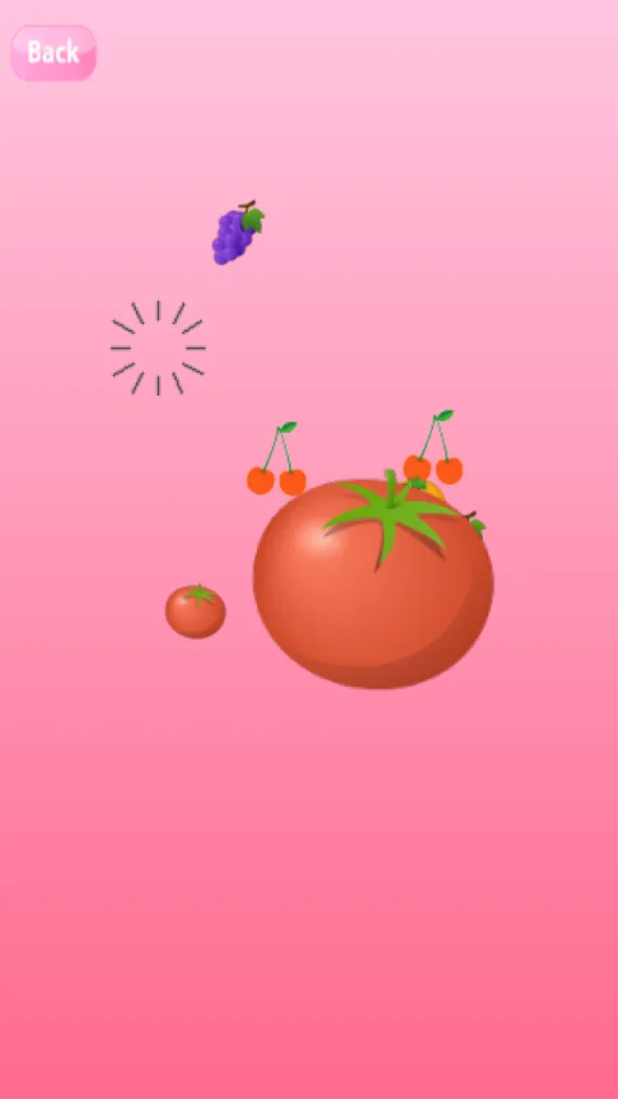 Various Touch Lite 스크린샷
