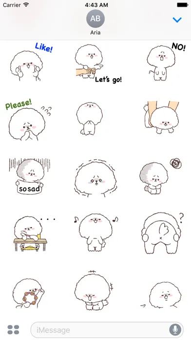 صور Animated Fluffy Bichon Frise