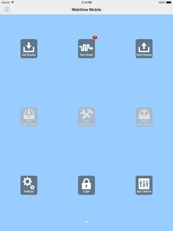 Ảnh chụp màn hình của WebView Data Collector iPad 