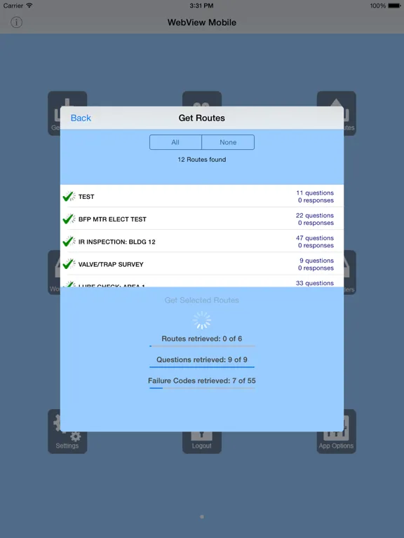 Ảnh chụp màn hình của WebView Data Collector iPad 