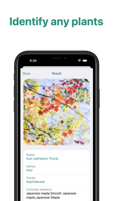 Screenshot di PlantID - Plant Identifier App